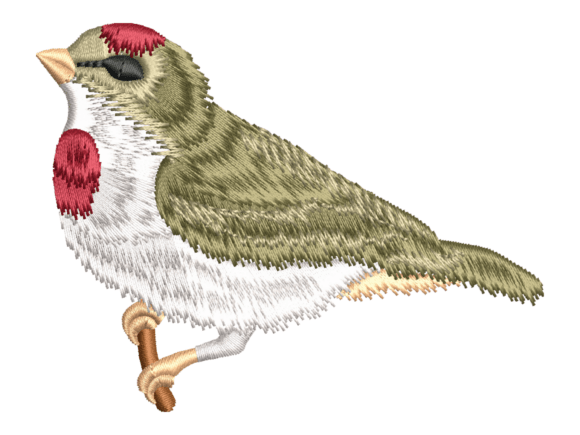 Red Capped Songbird Embroidery Review for Boutique Apparel